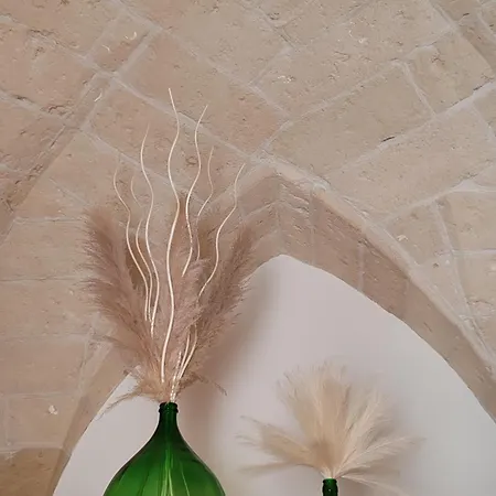 Salento Casevecchie ゲストハウス Sogliano Cavour